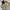 Onitsuka Tiger Mexico 66 Kids Black Yellow Original  photo 3