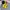 Onitsuka Tiger Mexico 66 Kids Black Yellow Original 