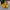 Onitsuka Tiger Mexico 66 Kids Black Yellow Original  photo 4