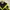 Nike Vintage Casual Track jacket Pria black yellow photo 4