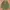 ZARA MAN GREEN ARMY DOUBLE POCKET LONG SLEEVE OXFORD WORK WE