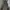 Track pants dri-fit Nike FFF club photo 1