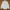 ZARA MAN SLIM FIT WHITE POLCADOT BLACK BUTTON DOWN photo 6