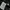 Dickies Winter Puffer Down Hooded Jacket – Dark Navy  photo 7
