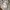MANGO REGULAR FIT FLORAL PATTERN LINEN LONG SLEEVE SHIRT photo 5