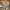 MANGO REGULAR FIT FLORAL PATTERN LINEN LONG SLEEVE SHIRT photo 3