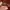 Hermes Birkin bag 30 lizard rouge  photo 4