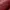 Hermes Birkin bag 30 lizard rouge  photo 5
