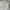 Streetwear Sportswear Sweatpants & Joggers Pria silver gray photo 8