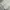 Streetwear Sportswear Sweatpants & Joggers Pria silver gray photo 7