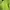 Uniqlo Sportswear Casual Sweater Wanita Green