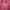 Casual Blazer Wanita pink photo 4