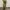 Vintage Y2K Flare Pants Wanita Green Yellow