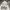 GAP Sportswear Casual Hoody Pria gray photo 2