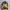 ZIPHOODIE VINTAGE WE CANT DO IT ART FULLPRINT AOP FULL TAG.  photo 3
