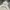 VANS Vintage Skater Hoody Pria tan cream photo 2