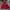 Vintage Y2K Hoody Pria red photo 1