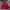 Vintage Y2K Hoody Pria Red