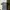 The North Face Casual Suit Pria Gray