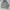 Hoodie Levis Silver Tab Big Logo photo 3