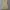 H&M Coquette Babydoll dress Wanita cream photo 1