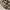 Coach Beige Signature Canvas Leather Trim Shoulder Bag photo 3