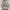 Coach Beige Signature Canvas Leather Trim Shoulder Bag
