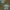 Abstract crop top  photo 1