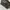Celine Brown Monogram Coated Vanity Hand Bag photo 3