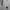 Aquascutum London Parka Jacket Women photo 7