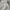 Casual Track jacket Pria white photo 6
