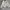 Casual Track jacket Pria white photo 1