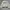 Casual Track jacket Pria white photo 5