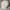Topi Gatsby Newsboy Cap Klasik STRAIGHT Katun Second Origina photo 3