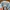 LEVIS DENIM SNAP BUTTON LIGHT BLUE LONG SLEEVE WESTERN JEANS photo 5