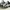 Rick Owens Streetwear Avant Garde Sneakers Pria white black photo 2
