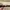Longchamp - sunglasses photo 3