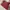 Louis Vuitton Red Leather Satchel Shoulder Bag photo 3