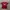 98/99 AS ROMA HOME JERSEY ORIGINAL photo 1