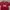 98/99 AS ROMA HOME JERSEY ORIGINAL photo 2