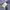 Champion Vintage Track jacket Pria navy photo 8