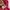 Y2k VonDutch Tee Pink Hot Vneck 00s photo 4