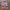 Atlético Madrid 2014-2015 jersey photo 5