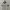 Jersey Manchester City Away 2023/2024 photo 1