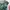 Mesh Top Y2K Leopard Typography Blue Green Gyaru Fairy Grung photo 4