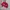 Topi Nike Red Just Do It photo 3