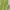 Nike ACG Sportswear Short Pria green photo 4
