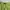 Nike ACG Sportswear Short Pria green photo 3