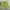 Nike ACG Sportswear Short Pria green photo 1