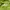 Nike ACG Sportswear Short Pria green photo 6